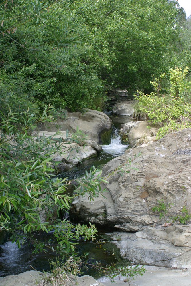 San Luis Creek running over rocks behind the inn