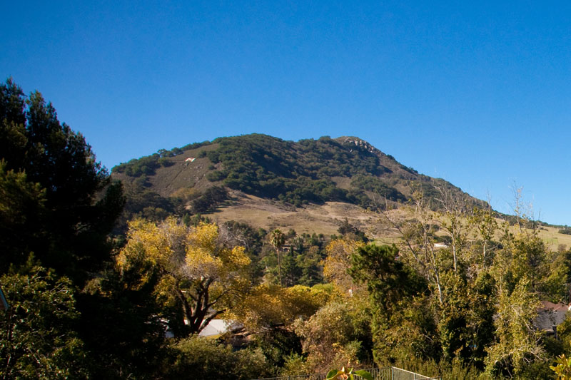 View over the trees to Bishop's Peak