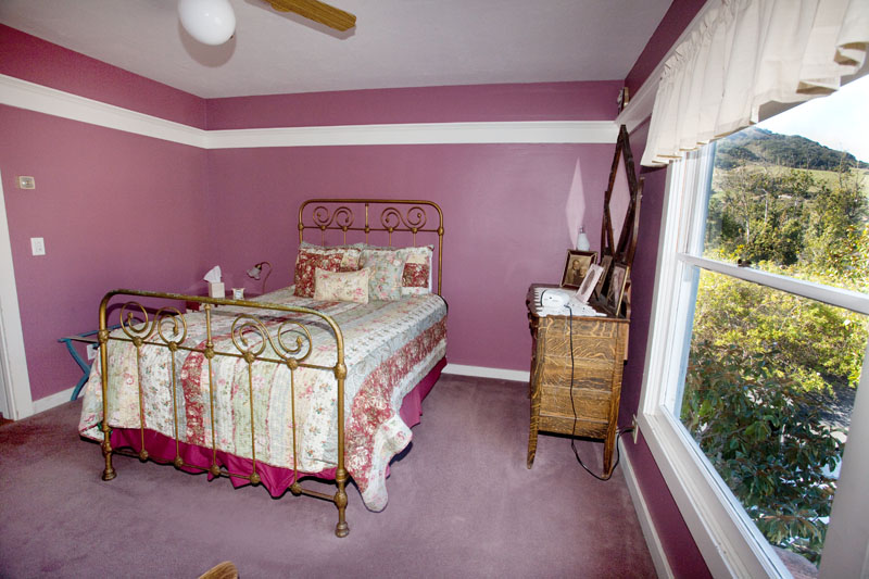 John & Amelia's Room, with an antique iron bed beside a creek-view window